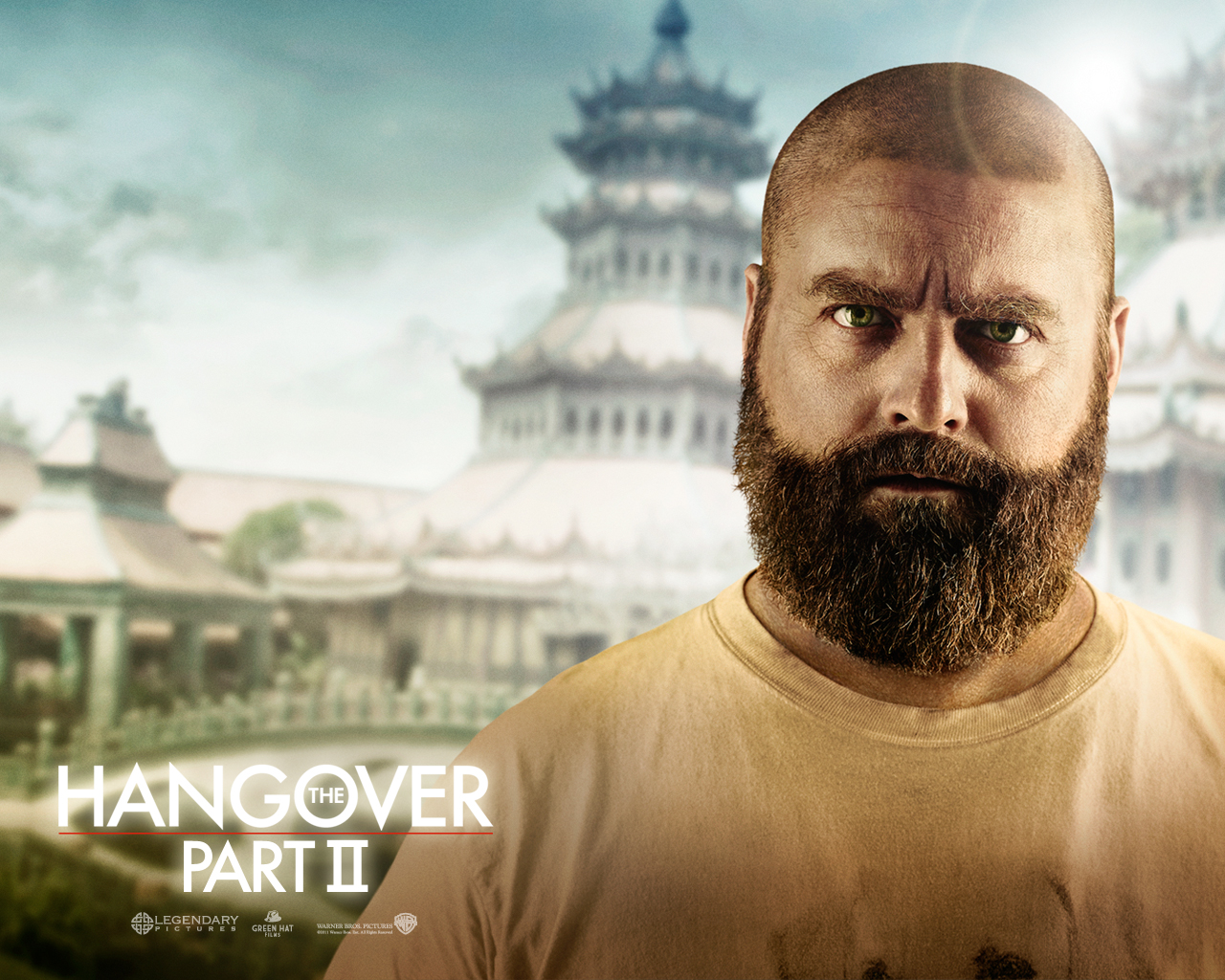 Zach Galifianakis Hangover Quotes. QuotesGram