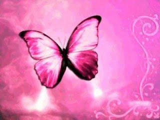 Cute Butterfly Wallpaper