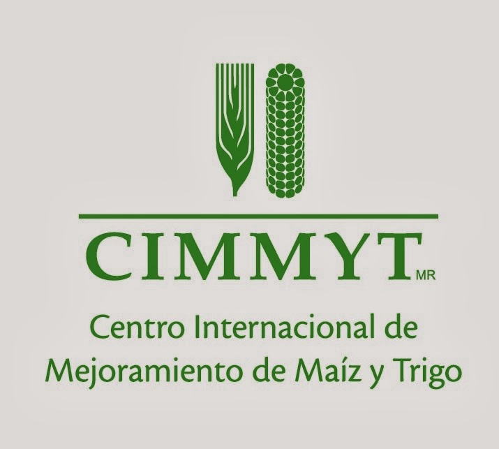 CIMMYT