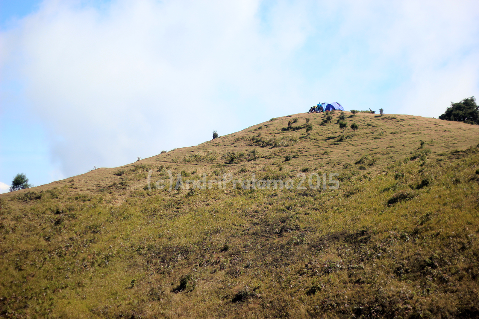 Keindahan Gunung Prau 2.565 mdpl