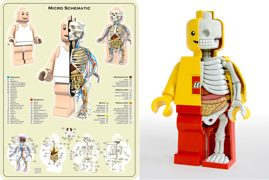 Cool anatomical minifigure art I found by Jason Freeny. r/lego