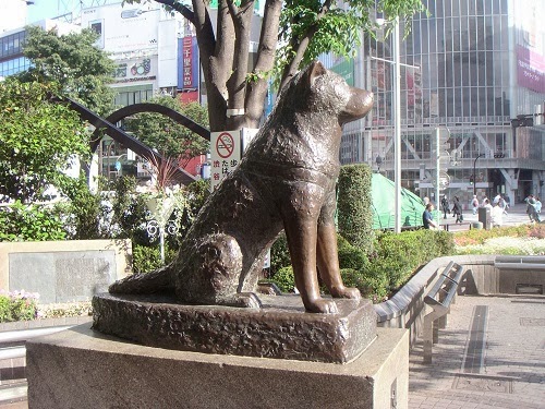Andy Munthe Hachiko Kisah Seekor Anjing Yang Selalu Setia