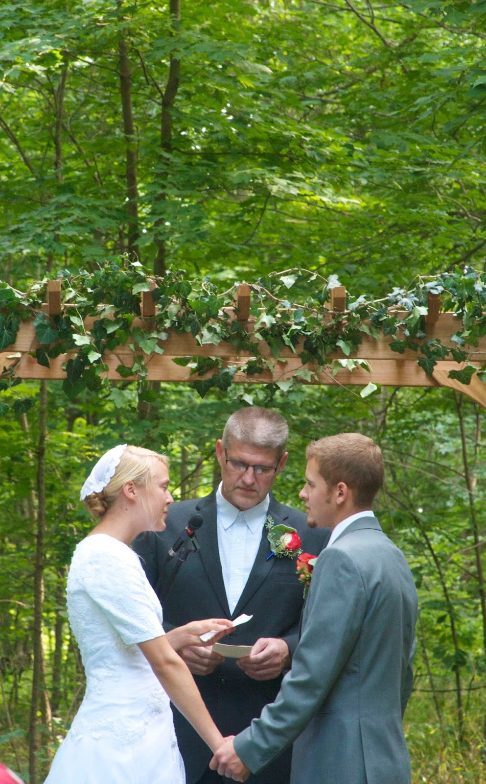 Essay on a family wedding picture