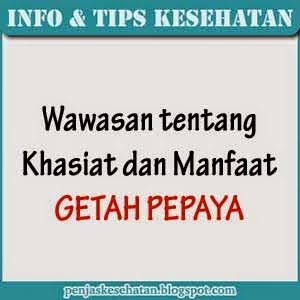 Manfaat Getah Pepaya Manfaat Getah Pepaya