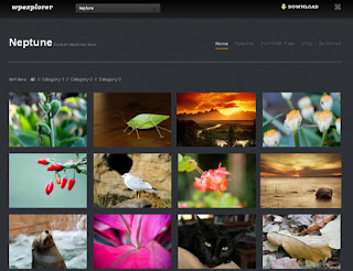 WordPress-Template Neptune WordPress-Template Neptune