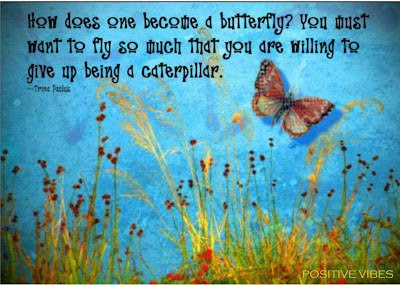 Trina Paulus, Butterfly, Caterpillar, Inspiration, Motivation, Empowerment, Quotes