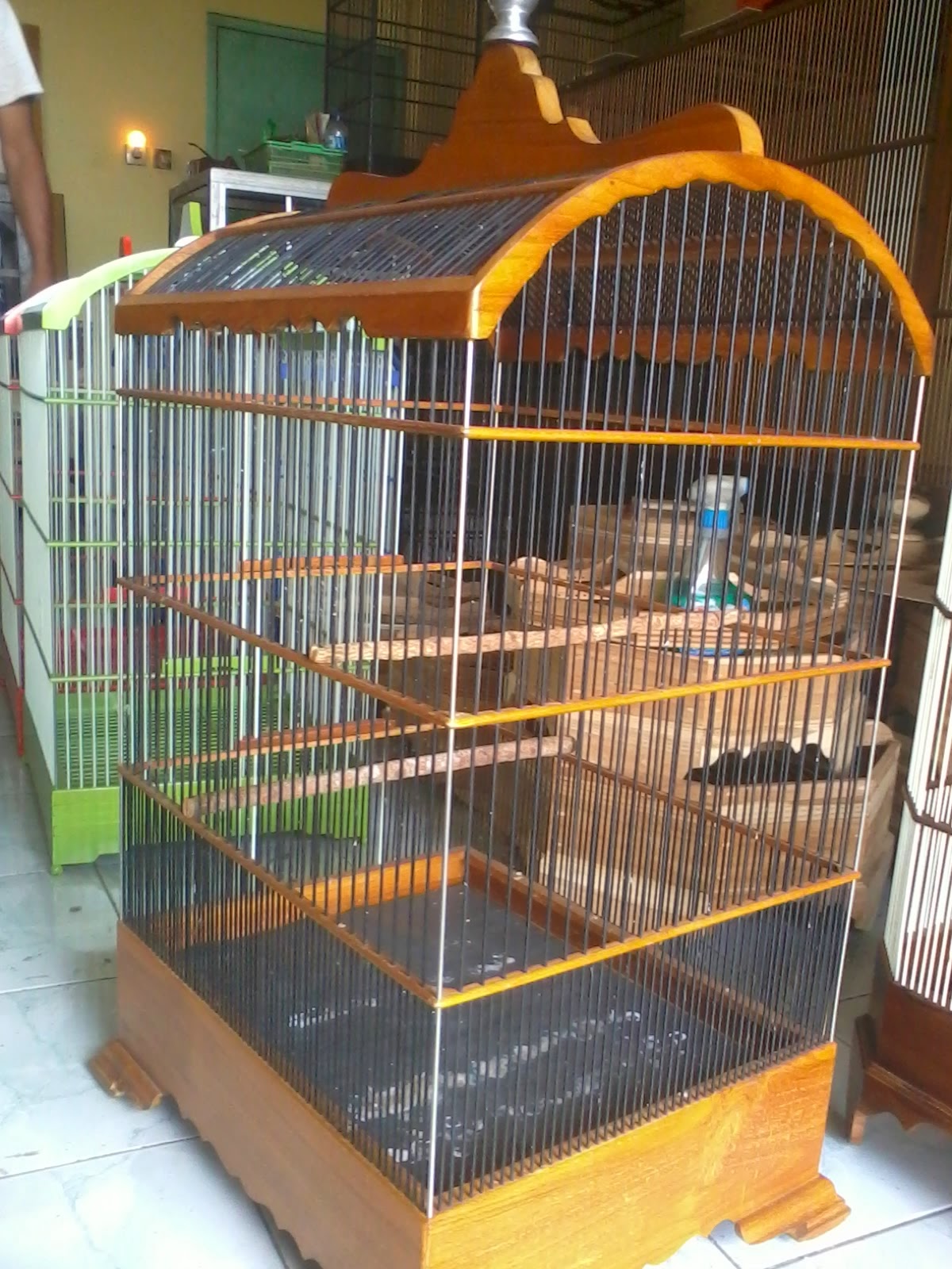 20+ Harga kandang burung kacer murah terbaru