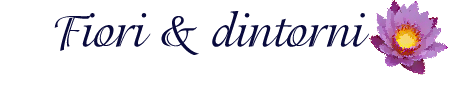 Fiori & Dintorni