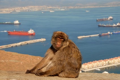 gibraltar steuern gibraltar steuern