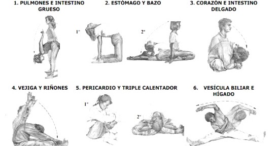 Estas parches para perder peso farmacia parches para perder peso farmacia