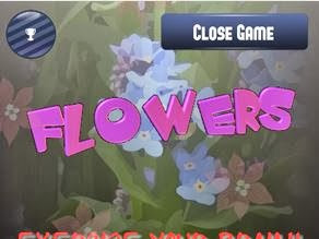 Exercise your Brain with Flowers, a puzzle game for Android