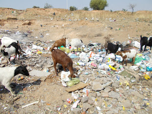 Garbage dumping ground in Soweto.