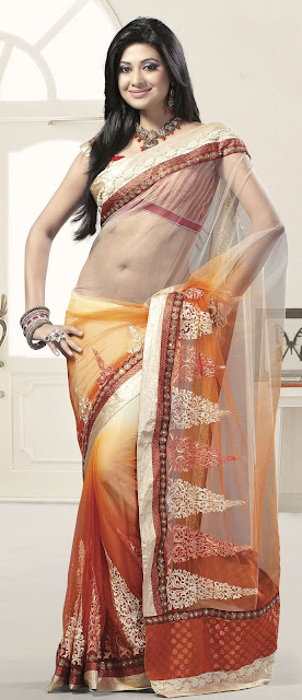beautiful woman in a saree