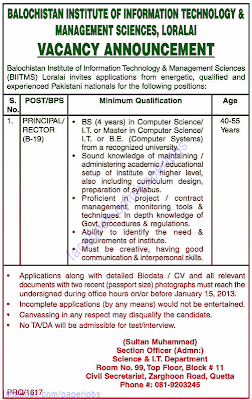 BIITMS Jobs 2013