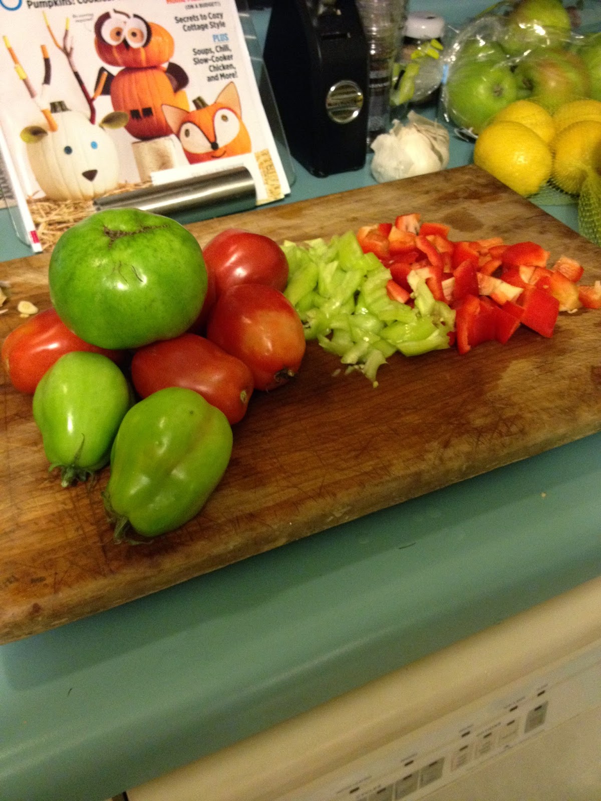 The Owl's Skull Green Tomato Turkey Chili