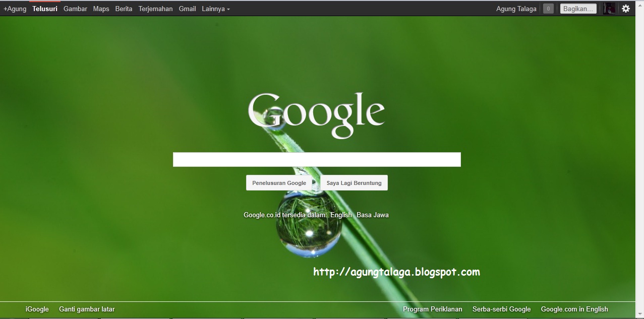 Halaman Google