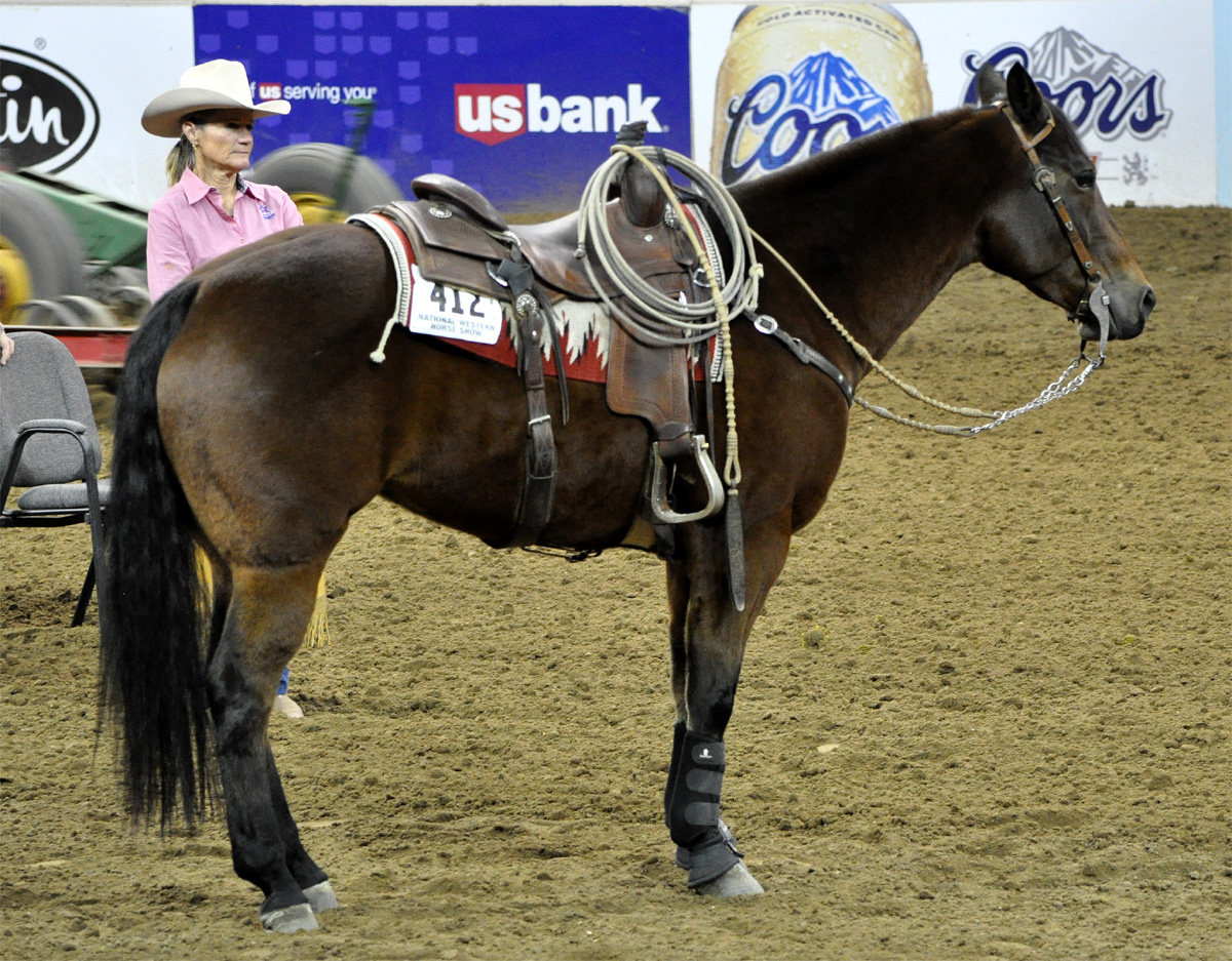 1000+ images about Model horse tack on Pinterest