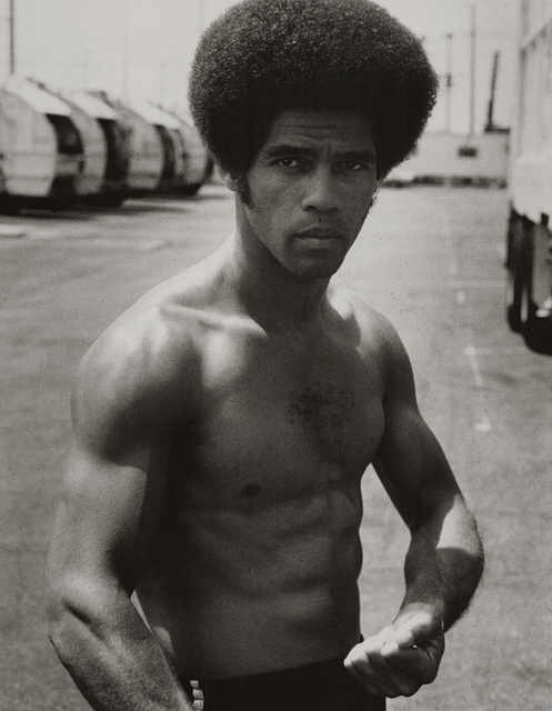 Actor Jim Kelly | kmhouseindia enter the dragon actor jim kelly dies Actor Jim Kelly | kmhouseindia enter the dragon actor jim kelly dies