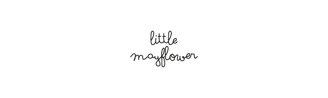 Little Mayflower