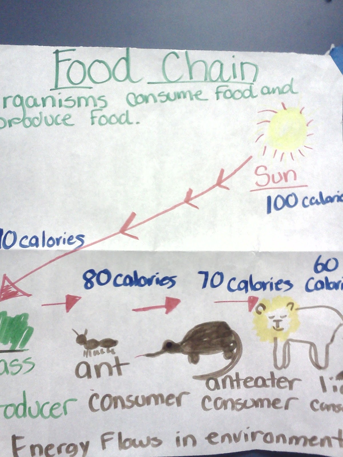 the mom blogger science input charts chain charts