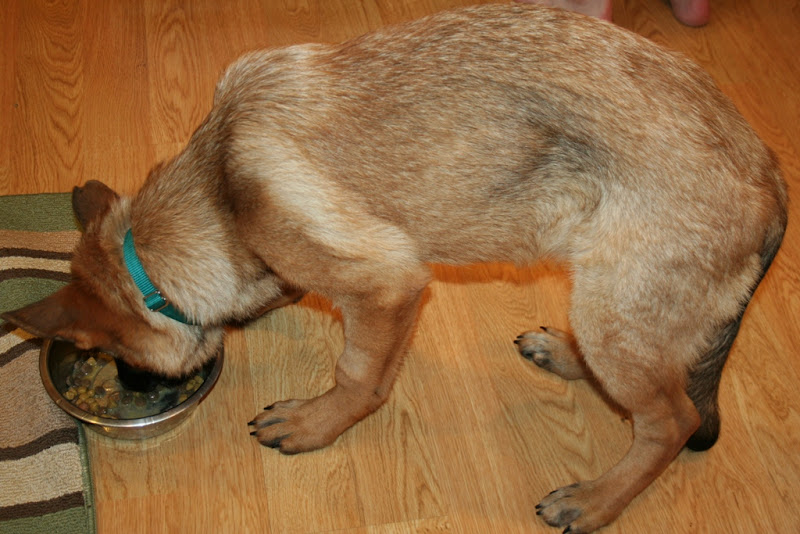 side view of kira eating, there is a pronounced hollow at her waist