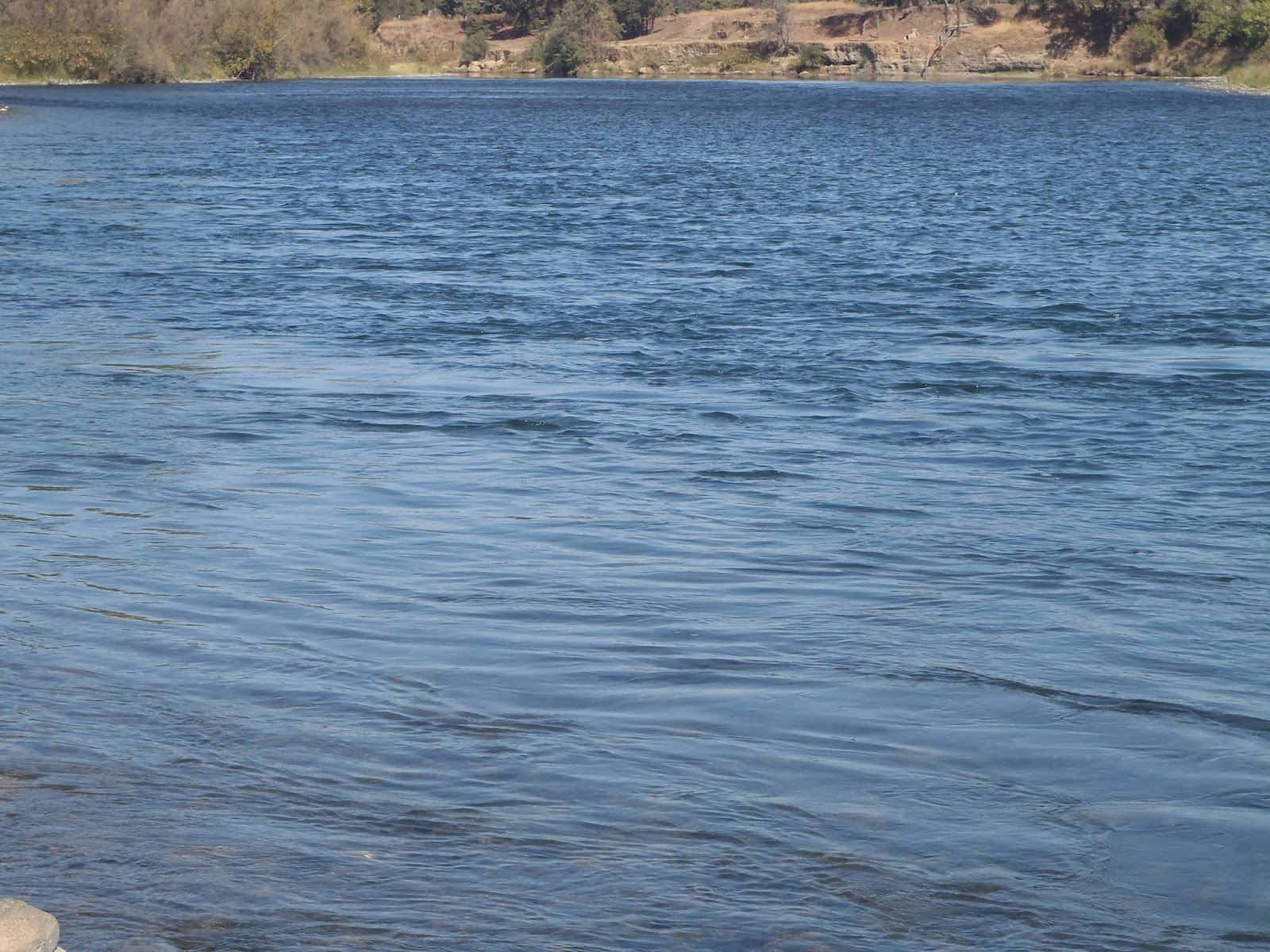 Irideus Fly Fishing Products Fly fishing for steelhead in the Feather