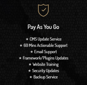 Professional CMS Support From £35