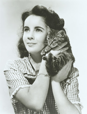  Elizabeth taylor cat 