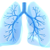 Intervenção da fisioterapia respiratória na função pulmonar de indivíduos obesos submetidos a cirurgia bariátrica. Uma revisão