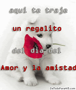 Imágenes chidas de San valentin - Ciudad Facebook Fotos ...