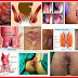 Salep Obat Benjolan Ambeyen Ampuh thumbnail