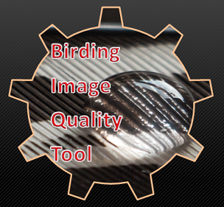 Birding Image Quality Tool