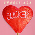 As Últimas da Charli XCX: Tracklist do Sucker, Indicações ao EMA e Prismatic Tour com Katy Perry!