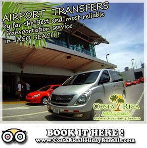 Airport Transfers