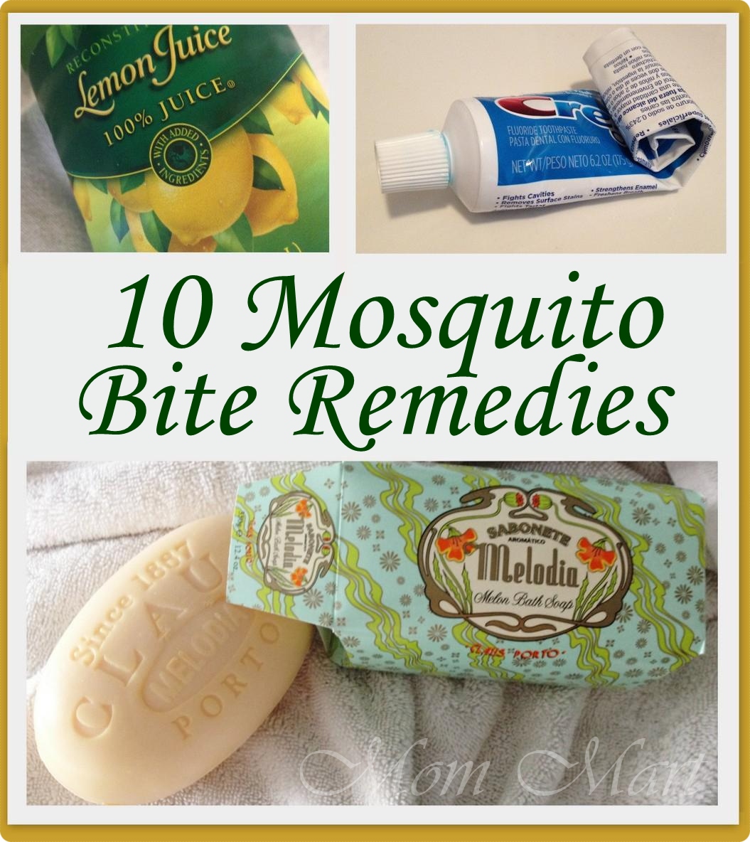 Why Do Mosquito Bites Itch Relief