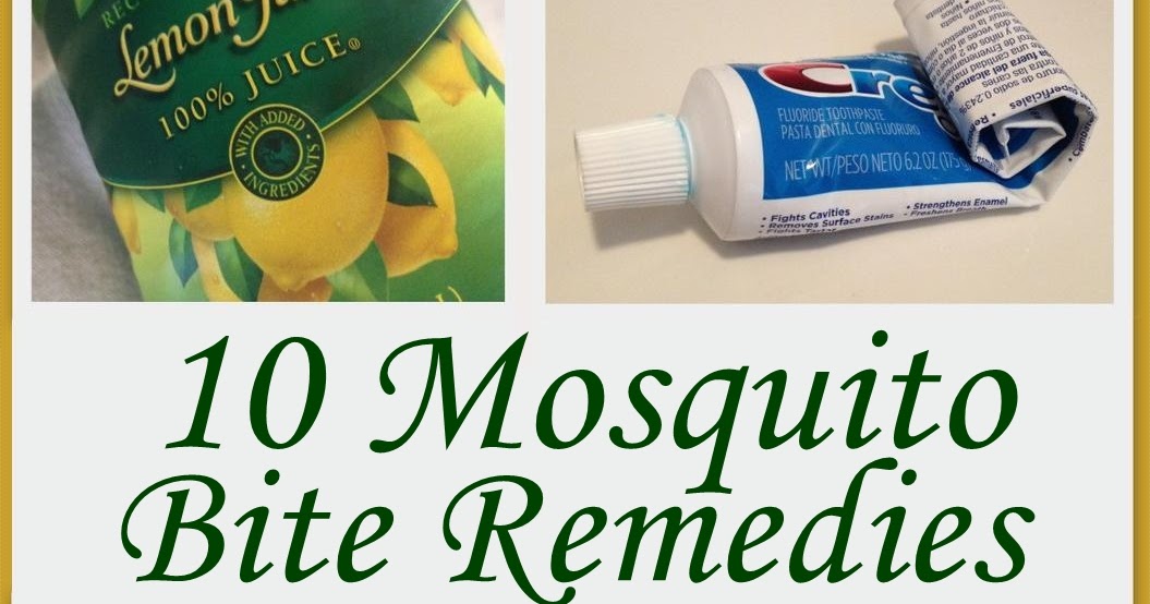 Mom Mart 10 Mosquito Bite Itch Relief Tips & Tricks