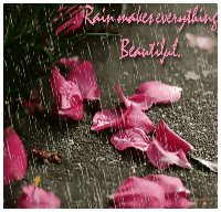 love quotes about rain