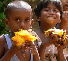விடியற்காலையில் நேரத்தோடு ஓடி விடுவேன் நீங்களுமா ?? Panampalam