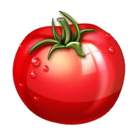tomate (dessin)