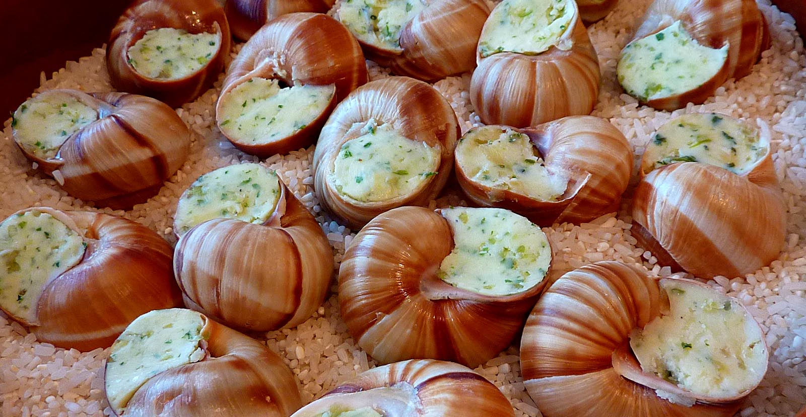 Living the life in SaintAignan Escargots à la bourguignonne