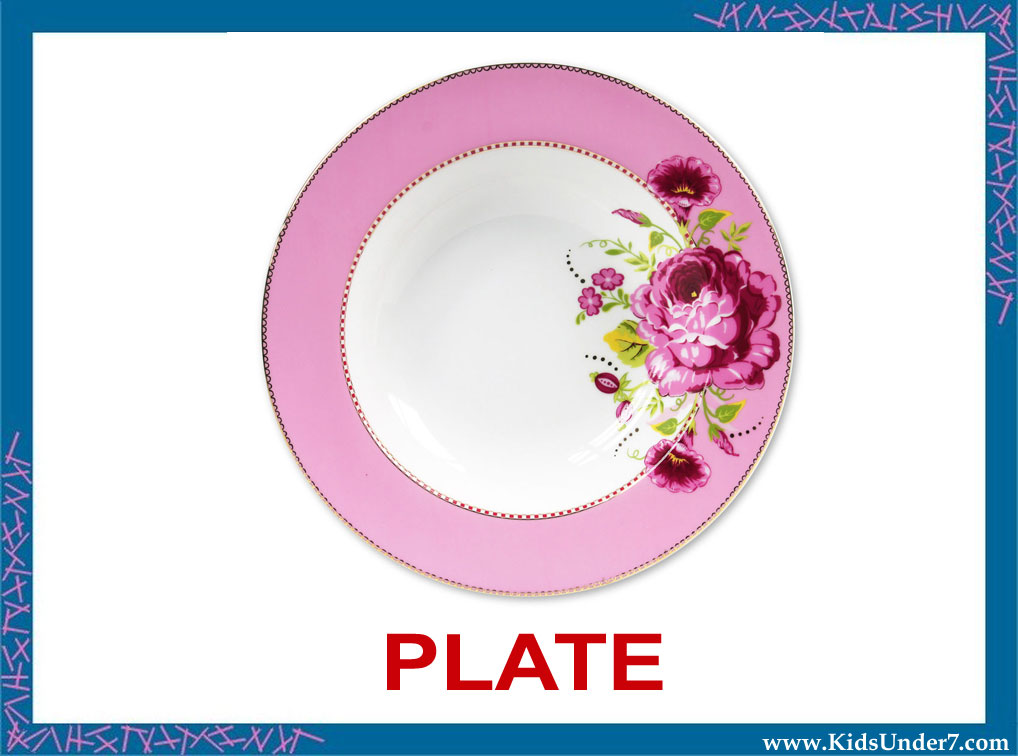 my plate worksheet my plate worksheet