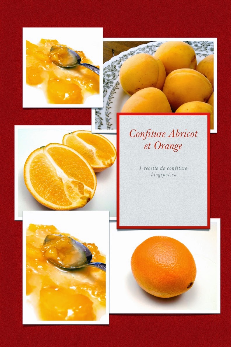 1 recette de confiture Confiture Abricot et Orange