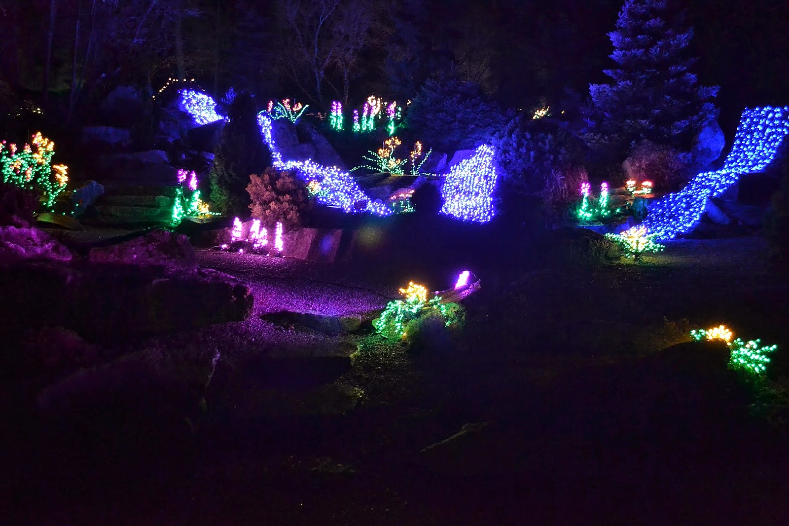 The Outlaw Gardener: Garden d'Lights at Bellevue Botanical Garden