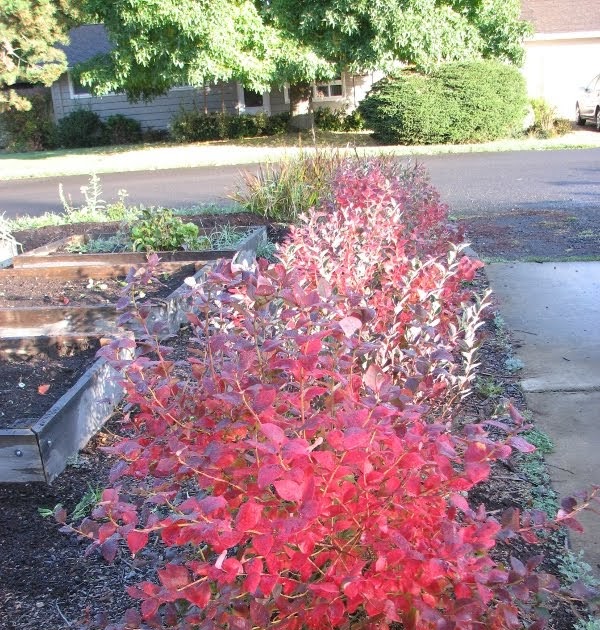 Modern Crafter Upkeep