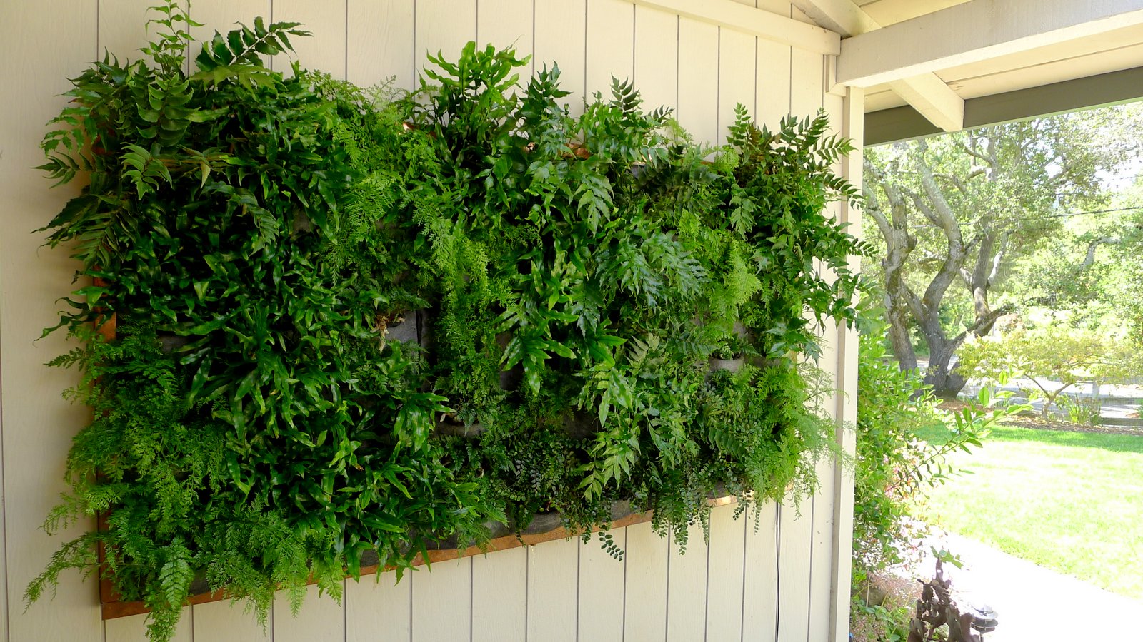 Plants On Walls vertical garden systems Copper Framed Fern Wall