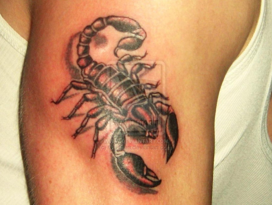 3D Scorpion Tattoo Designs Tattoo Designs