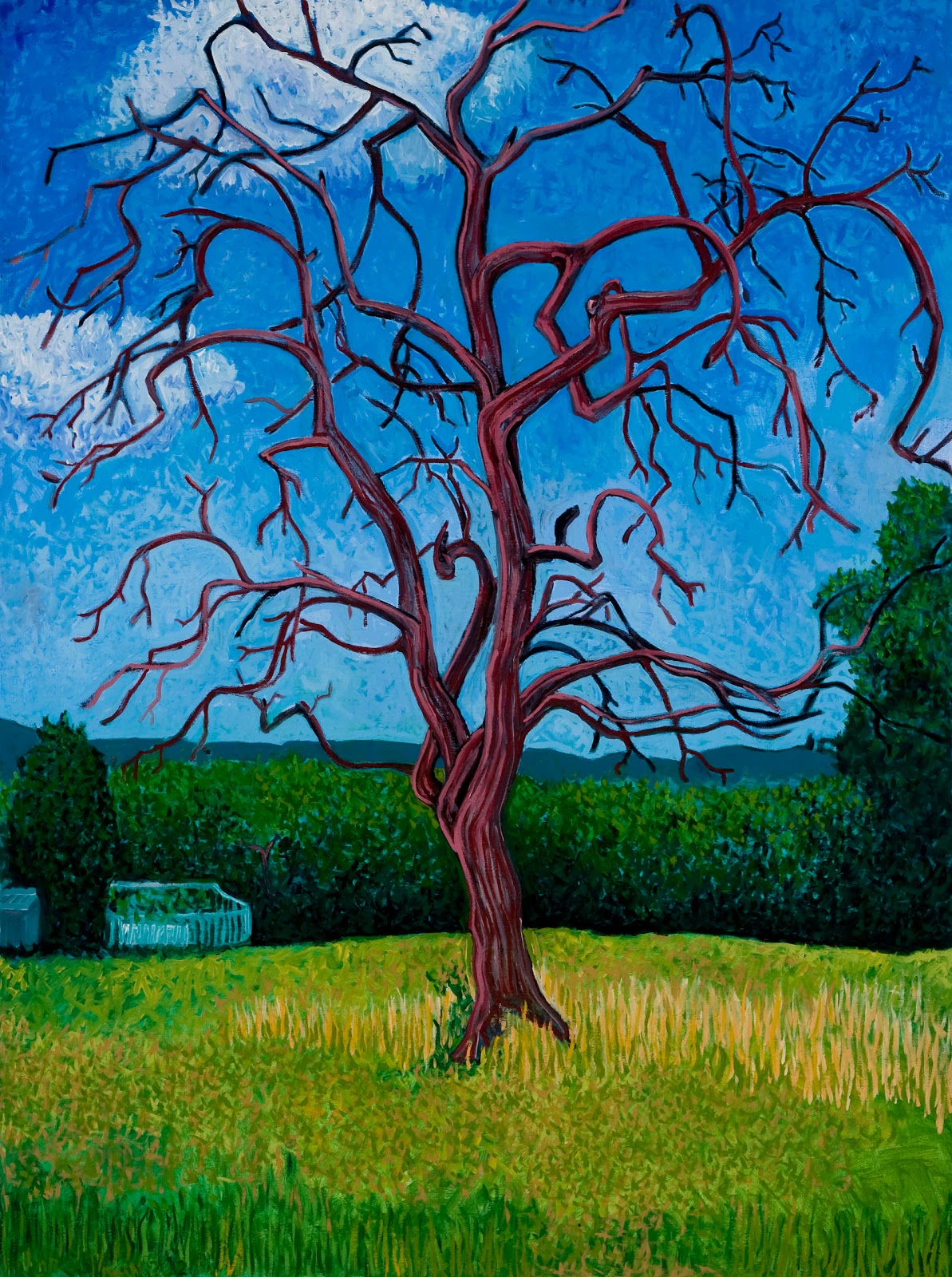 Hugh's View The Bodark Tree