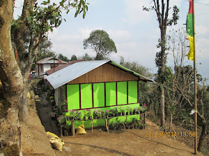 Beatiful houses on Deolo hill in Kalimpong.
