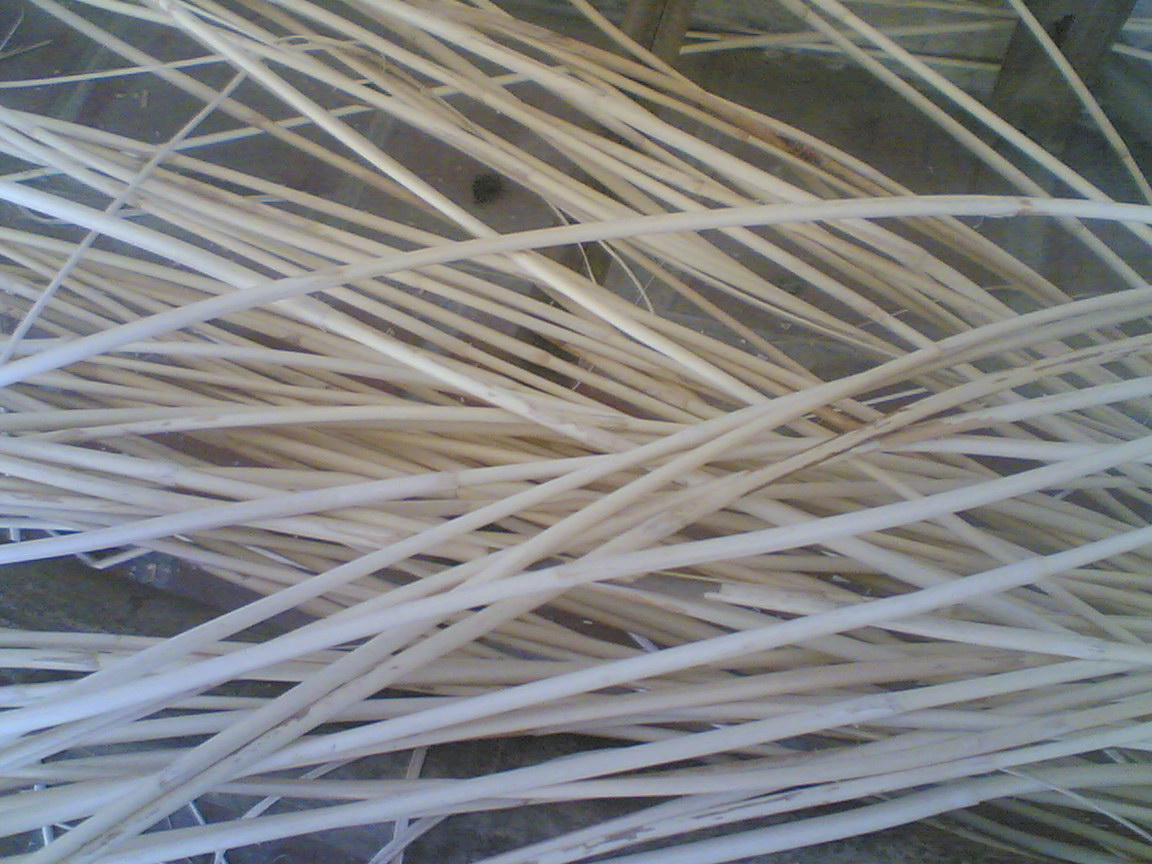 rattan suppliers Rattan Manau