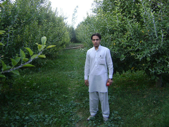 Paghman Kabul